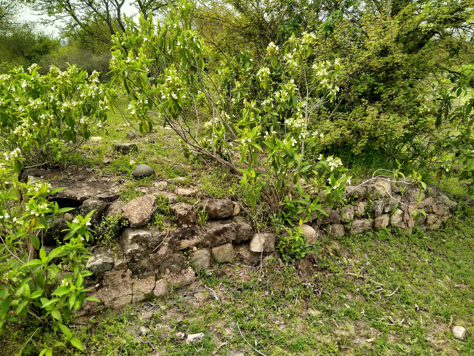 Travel Photo